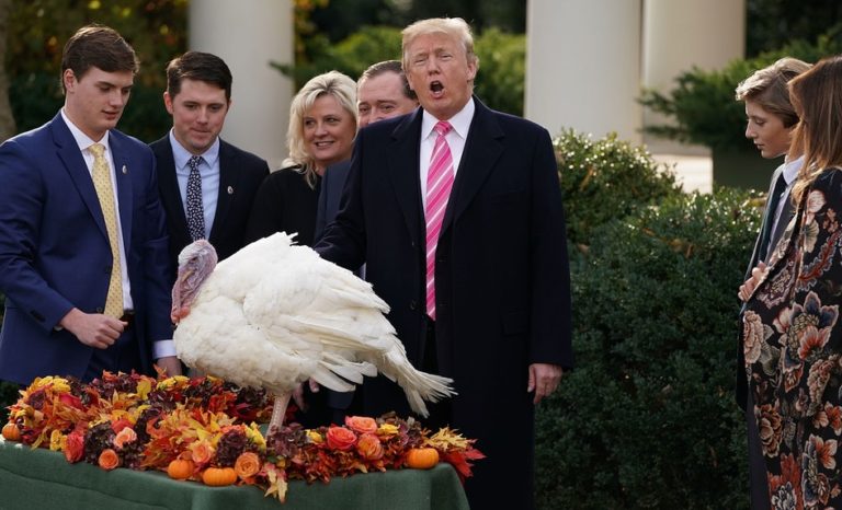 Elite Daily – How To Talk About Donald Trump On Thanksgiving (Or Not), So You Don’t Ruin Dinner
