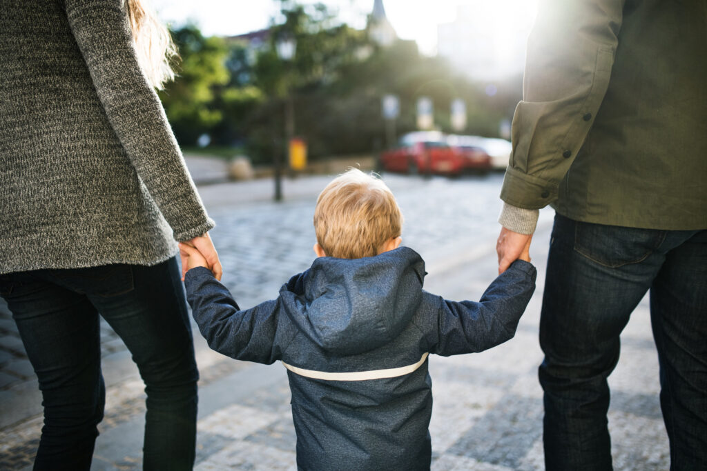 Custody and Parenting Time Mediation